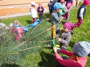 Stavíme Májku ve školce